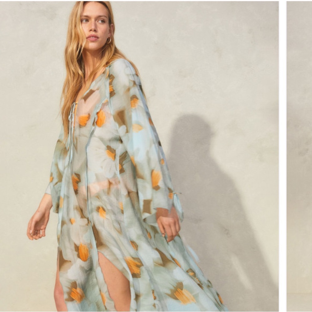 H&M Sheer Watercolor Floral Dress